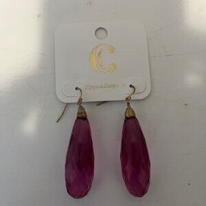 Charming Charlie large teardrop earrings.